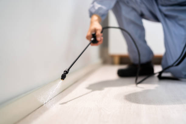 Licensed Pest Control service in Forest Park, IL - Show Me Pest Control