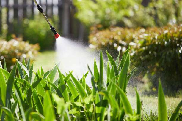 24/7 Emergency Wasp Removal experts in Forest Park, IL